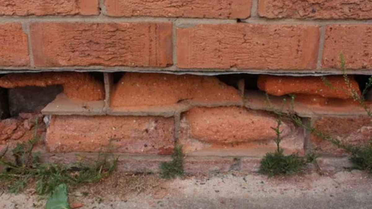 Destrucci&oacute;n de la mamposter&iacute;a