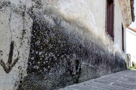 Eflorescencias