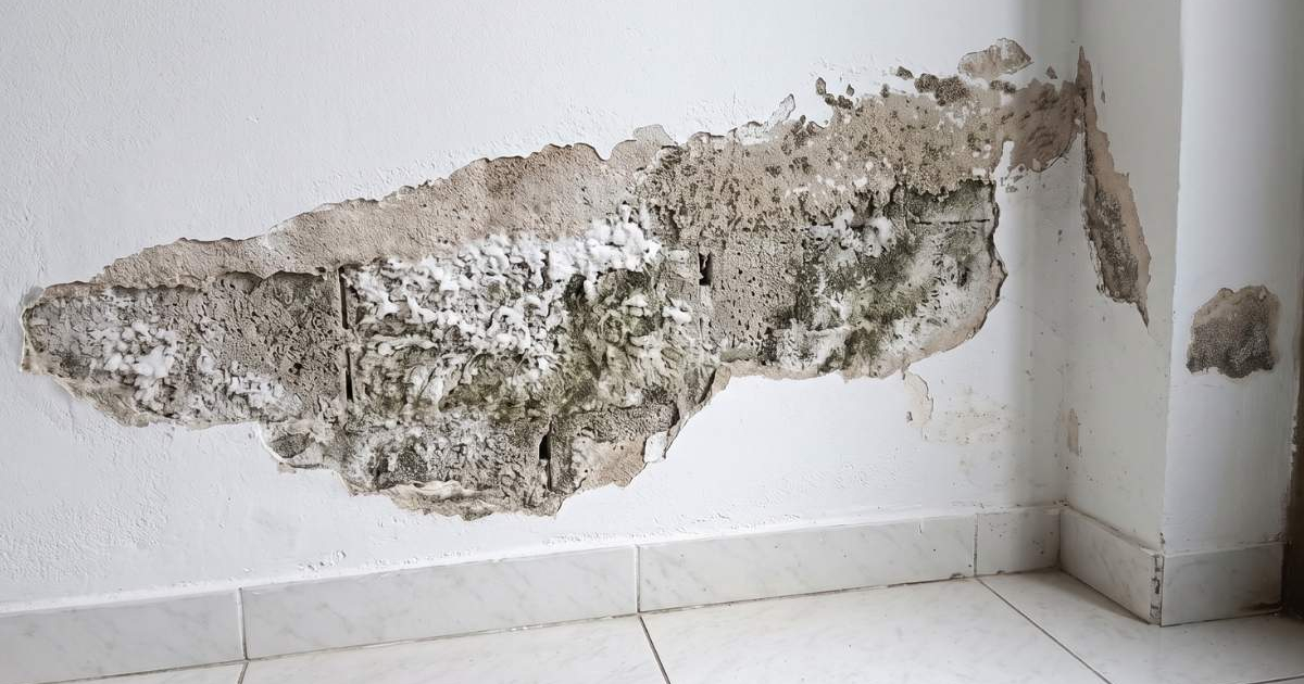¿Por qué la pintura se sigue descascarando en la pared?